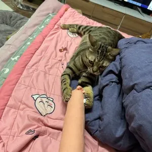 베스트 후기 이미지