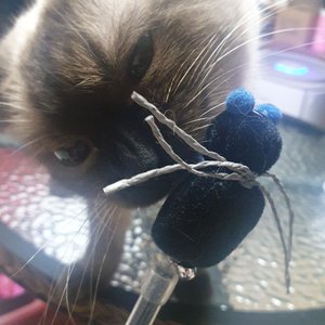 베스트 후기 이미지