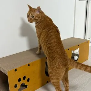 베스트 후기 이미지