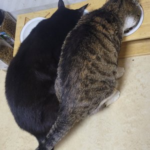 베스트 후기 이미지