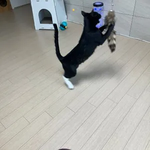 베스트 후기 이미지