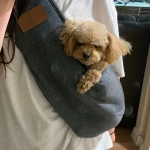 베스트 후기 이미지