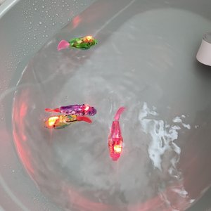 베스트 후기 이미지