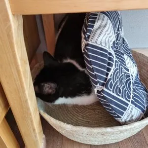 베스트 후기 이미지