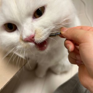 베스트 후기 이미지