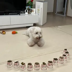 베스트 후기 이미지