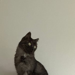 베스트 후기 이미지