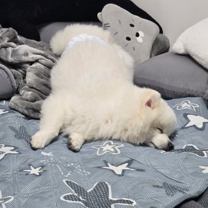 베스트 후기 이미지