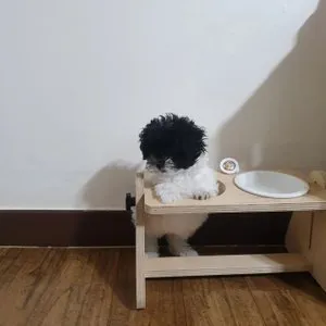 베스트 후기 이미지