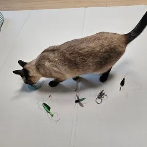 베스트 후기 이미지