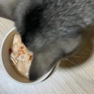 베스트 후기 이미지