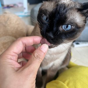 베스트 후기 이미지