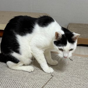 베스트 후기 이미지