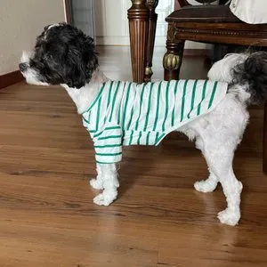 베스트 후기 이미지