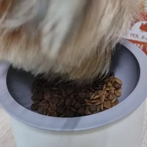 베스트 후기 이미지