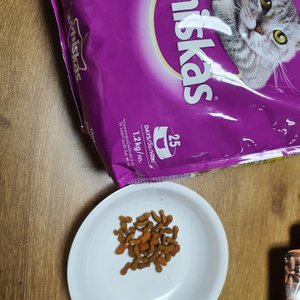 베스트 후기 이미지