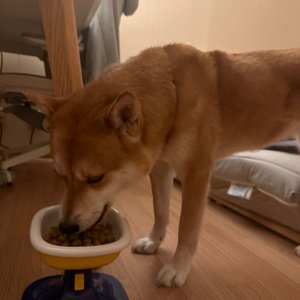 베스트 후기 이미지