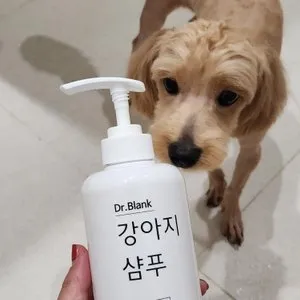 베스트 후기 이미지