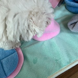 베스트 후기 이미지