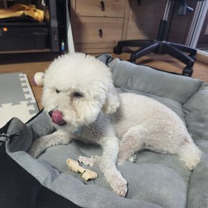 베스트 후기 이미지