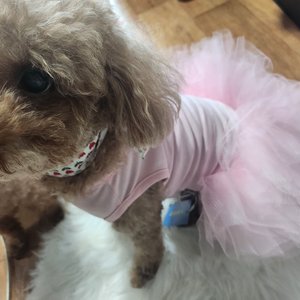 베스트 후기 이미지