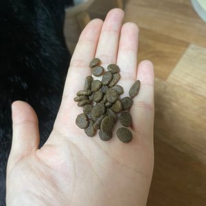 베스트 후기 이미지