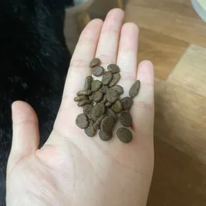 베스트 후기 이미지