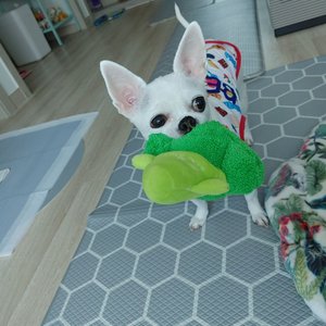 베스트 후기 이미지