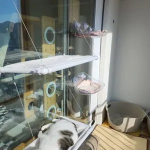 베스트 후기 이미지