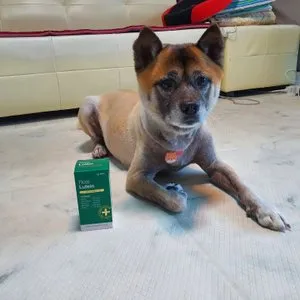 베스트 후기 이미지