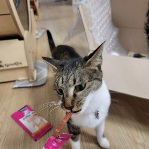 베스트 후기 이미지