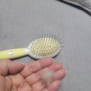 베스트 후기 이미지