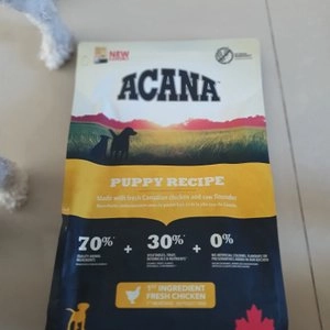 [창고대방출] 아카나 독 퍼피 레시피 6kg 베스트 후기 이미지