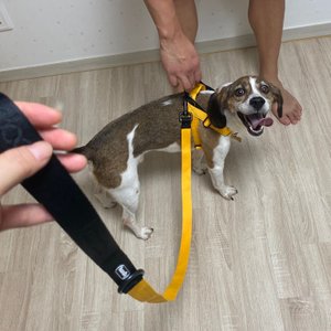 베스트 후기 이미지