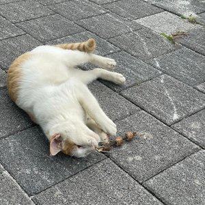 베스트 후기 이미지