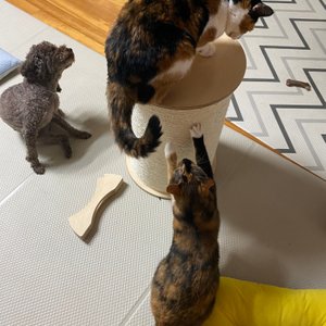 베스트 후기 이미지