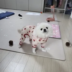 베스트 후기 이미지