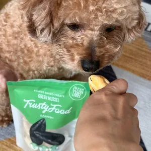 베스트 후기 이미지