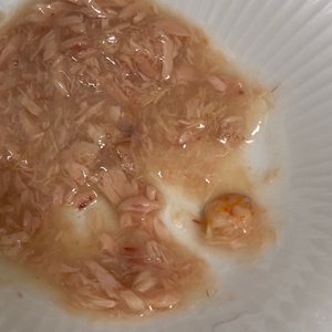 베스트 후기 이미지