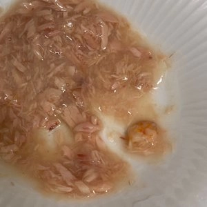 [NEW신상]오스테크 캣 울트라 참치 토핑 새우 그레이비 파우치 70g 베스트 후기 이미지