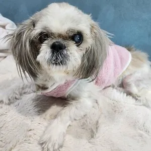 베스트 후기 이미지