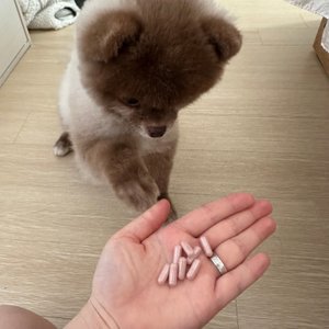 베스트 후기 이미지