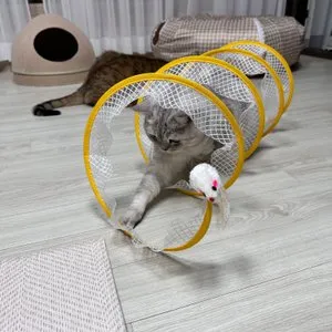 베스트 후기 이미지