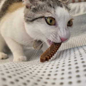 베스트 후기 이미지