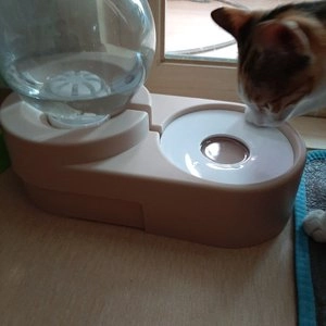 [무료배송] 힐링타임 올인원 자동급수기 핑크  베스트 후기 이미지