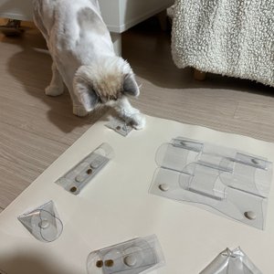 베스트 후기 이미지