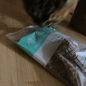 베스트 후기 이미지