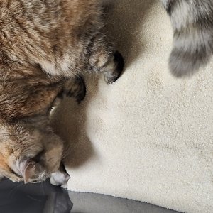 베스트 후기 이미지