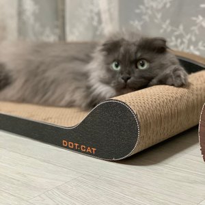 베스트 후기 이미지