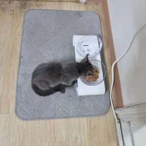 베스트 후기 이미지